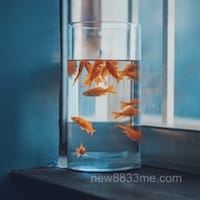 Ảnh đại diện của Mai Xuân Trang